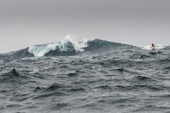 Surfista chileno é observado por pinguins.