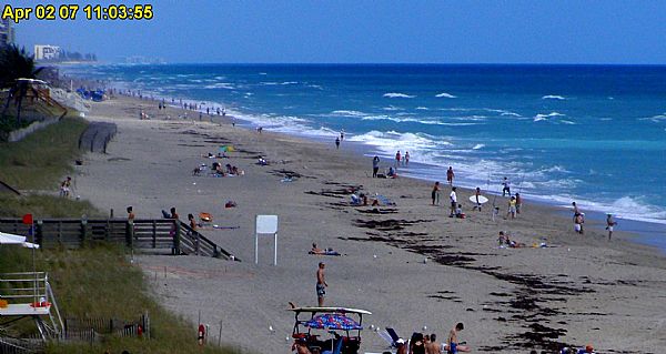 Surfistas voltam para a água um dia depois de ataque de tubarão na Flórida