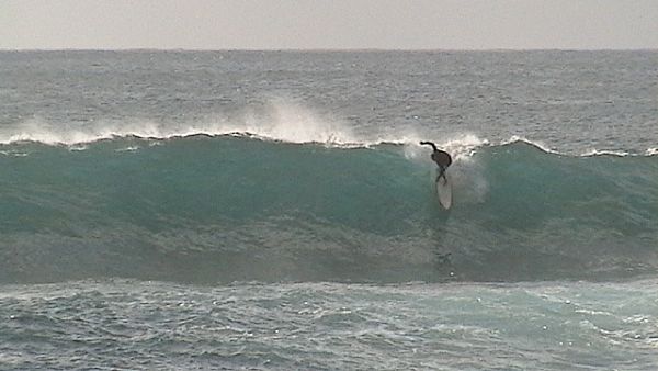 Paz no Surf