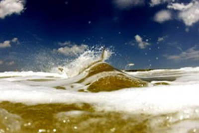 Surfista dá soco em tubarão e depois o fotografa