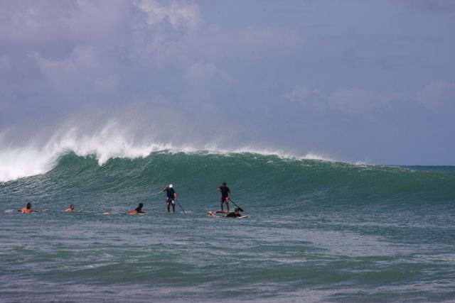 Stand Up Paddle começou em Noronha