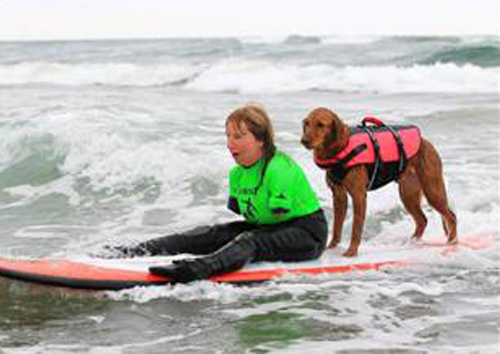 Cadela ajuda a surfista sem braços na clínica AmpSurf