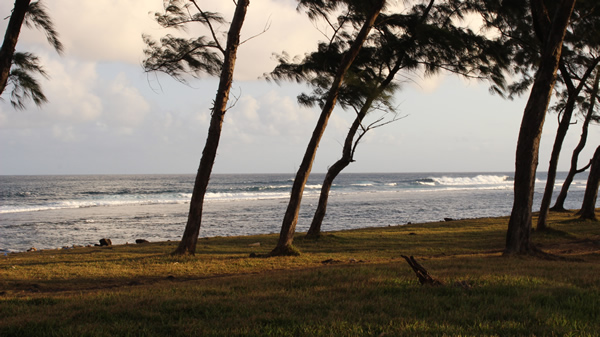 Equipe Brasileira no WCT do Kitewave Mundial