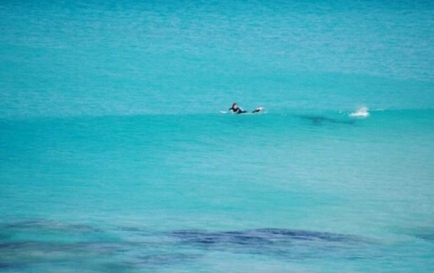 Tubarão persegue surfista em mar da Austrália