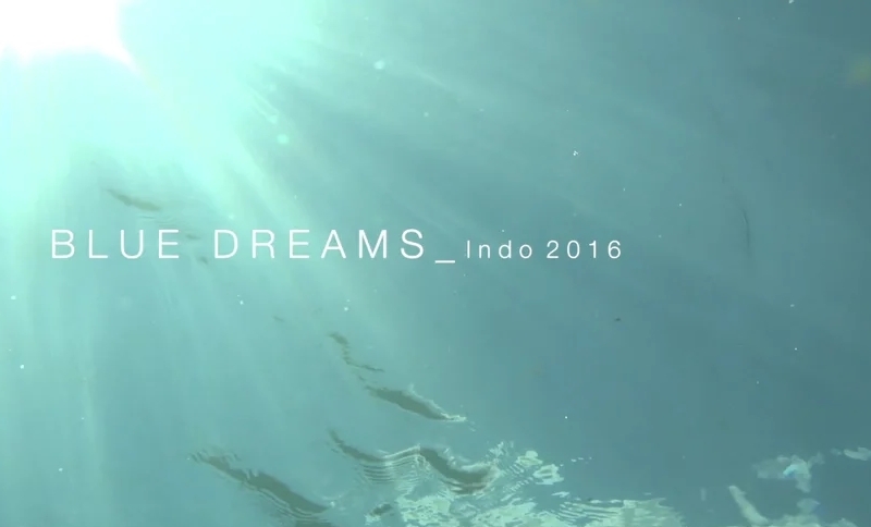 Filipe Toledo, Yago Dora e cia. | Blue Dreams_Indo 2016