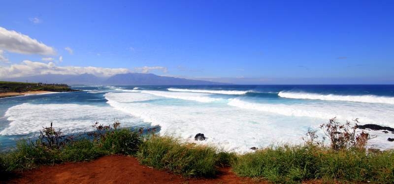 Novo incidente com Tubarão em Maui