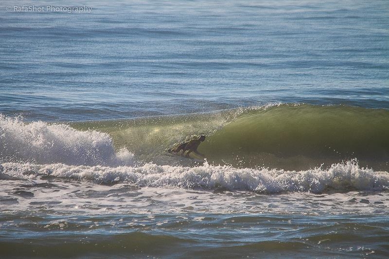 Ciawax de Surf Amador reúne 120 atletas em Arroio do Silva