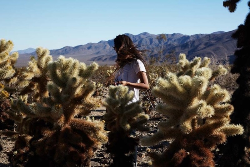 California | Joshua Tree