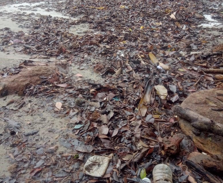 Lixo misturado à matéria orgânica em praia do litoral norte de sao paulo
