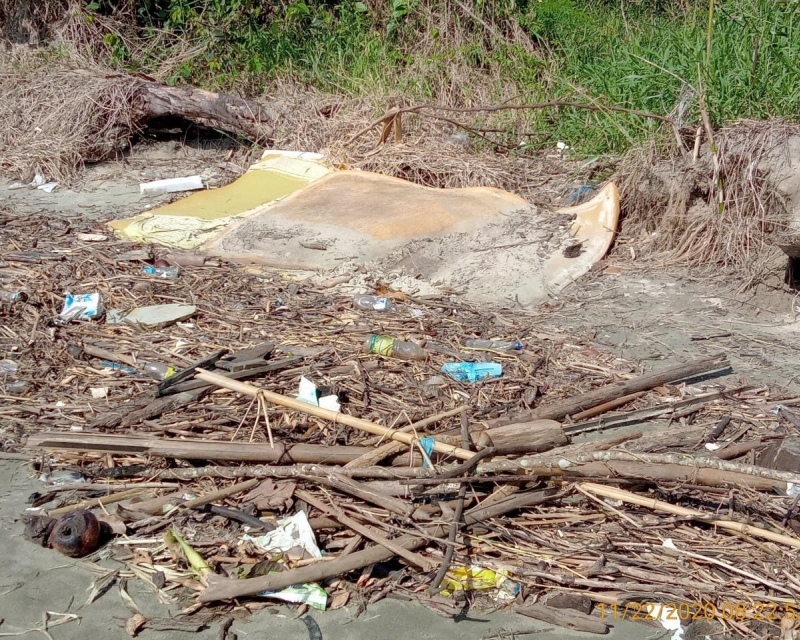Lixo misturado à matéria orgânica em praia do Litoral Norte de SP