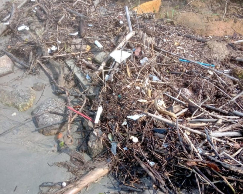 Lixo misturado à matéria orgânica em praia do litoral norte paulista