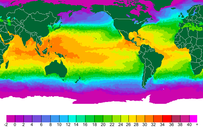 Sea Surface Temperatures Measurements for the World